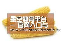 产品名称五
