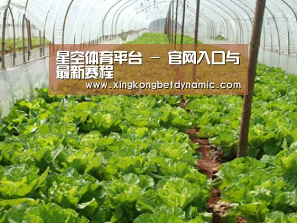 种植基地五