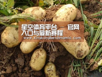 种植基地六