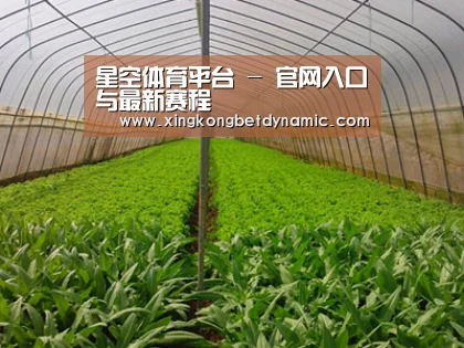 种植基地四