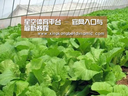 种植基地一