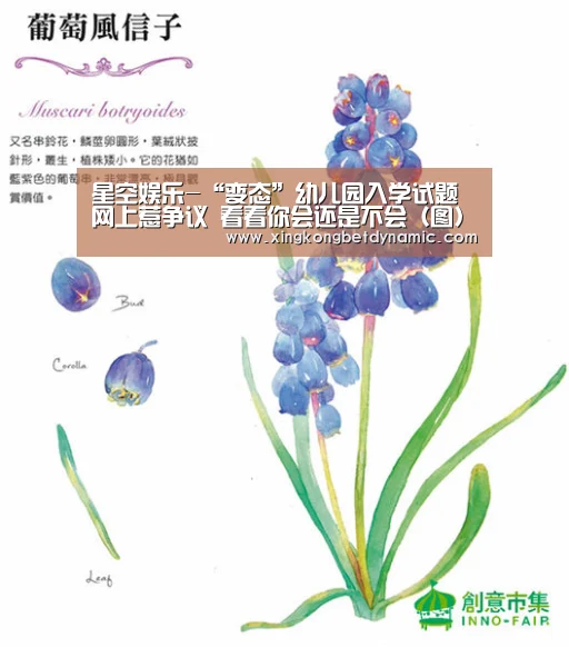星空娱乐-“变态”幼儿园入学试题网上惹争议 看看你会还是不会(图)(图1) 星空电竞