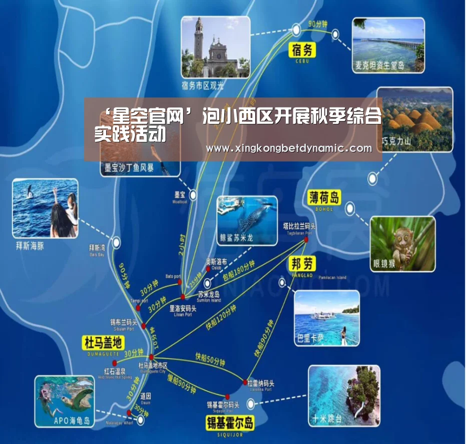 ‘星空官网’泡小西区开展秋季综合实践活动(图3) 星空电竞
