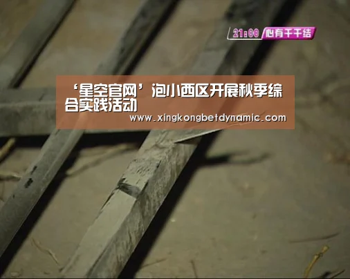 ‘星空官网’泡小西区开展秋季综合实践活动(图2) 星空下载
