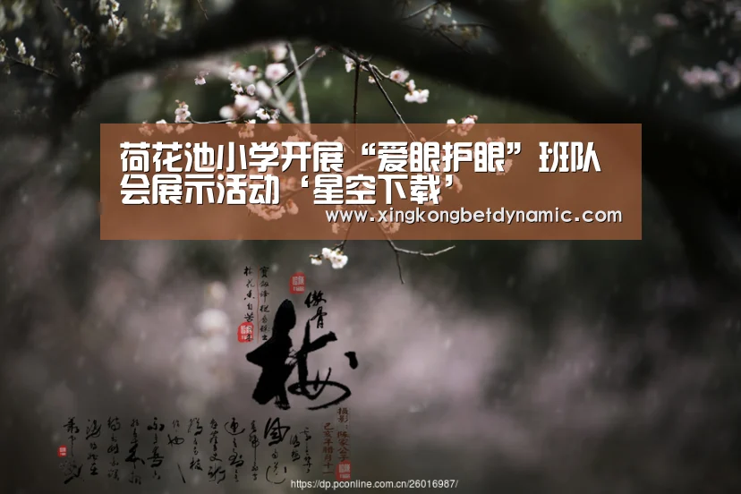 星空娱乐